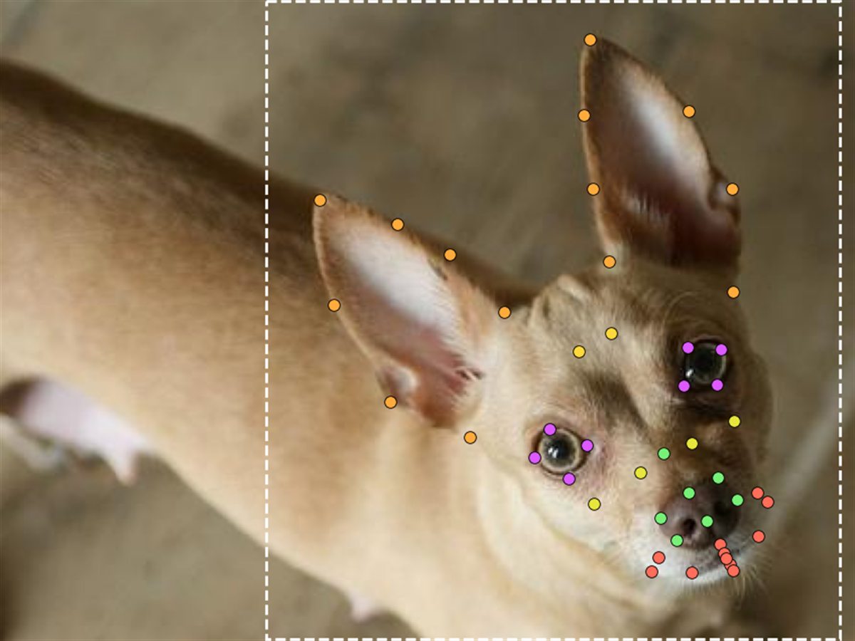A dog's head inside a dashed face box, marked with coloured landmarks on the ears, head, eyes, nose, muzzle and mouth