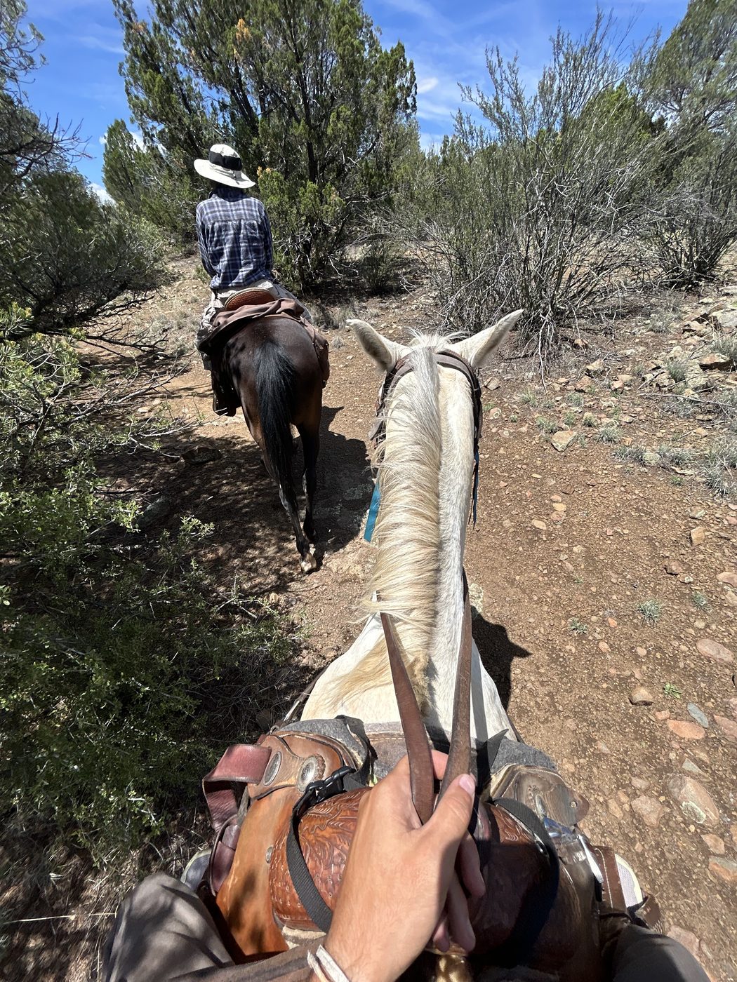 View from horseback along a juniper trail, reins in hand, another rider ahead in a straw hat